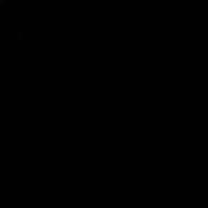 Meet your Posher, Juana